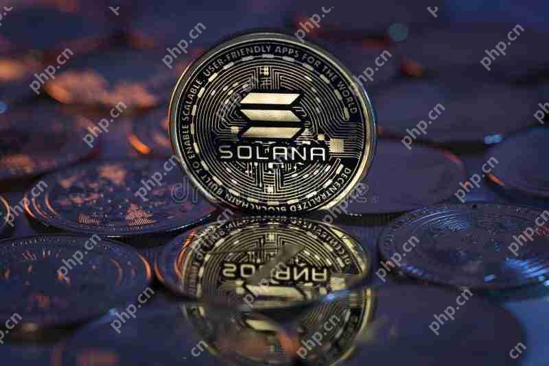 Solana(Sol)价格预测:此图表显示了市场的前进